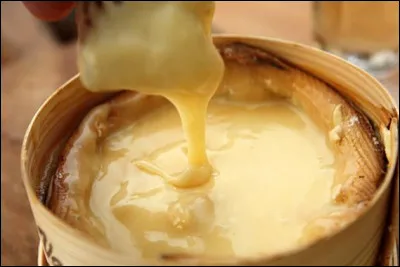 Qui a dit : Il n'y a pas de maladies, il n'y a que des malades ?