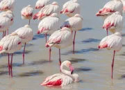 Quiz 10 questions naturelles