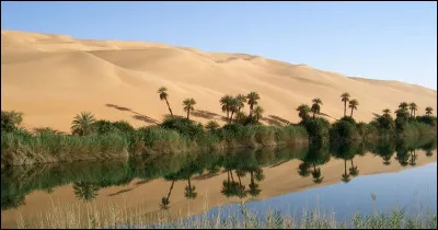 L'unique couleur présente sur l'ancien drapeau de la Libye est le bleu.