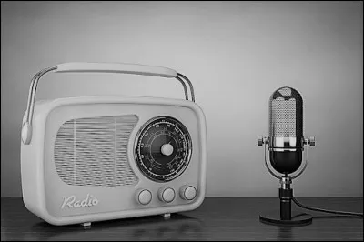 La chaîne de radio Skyrock a pour symbole une panthère noire.