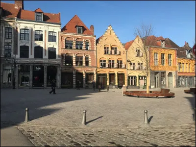 Dans une tout autre région de France, vous irez, à deux pas de la cathédrale, au coeur du quartier ancien, sur la "Place du Lion d'or" : vous serez à ...