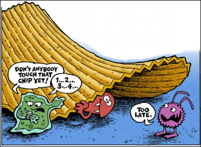 Hygi&egrave;ne > &Agrave; Jillian Clarke (&Eacute;tats-Unis) pour son investigation sur la v&eacute;rit&eacute; scientifique de la &laquo; r&egrave;gle des cinq secondes &raquo;, au sujet de la question : ...[laquelle ?]