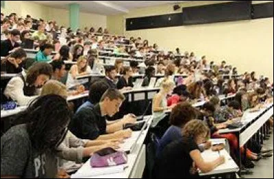 En cours, tu te considères comme quelqu'un de :