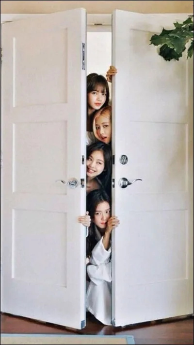 Qui est leader du groupe ?