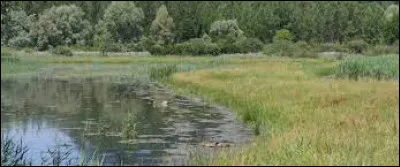 Où le quartier général de la Légion of Doom est-il situé ?