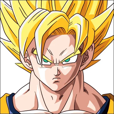 Pour quelle raison Goku a-t-il fait le Super Saiyan ?