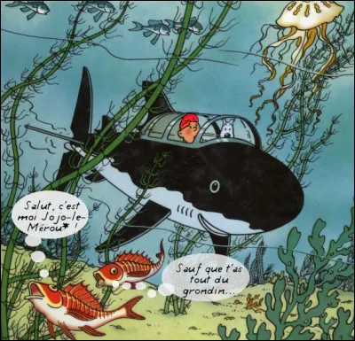 1956 > Un documentaire reçoit la Palme d'Or : du jamais vu ! Quel était le titre ?