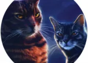 Quiz LGDC~Une image un chat (2)