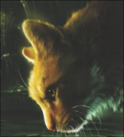 Avec sa petite amie, il avait créé le Clan des Souterrains et il est invincible. Qui est-il ?