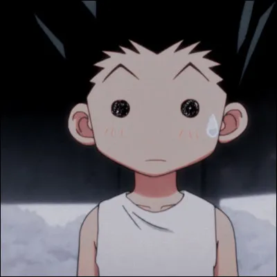 Quel est le nom de famille de Gon ?