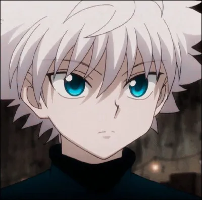 Combien de membres compte la famille Zoldyck ?