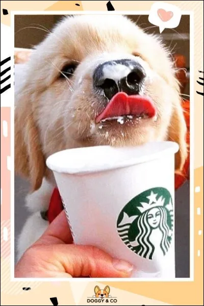 Quel est ton défaut ?