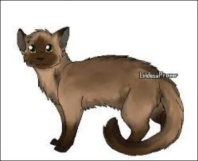 Qui est Baie de Sorbe pour lui ?