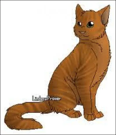 Qui a été le mentor dÉtoile Noire ?