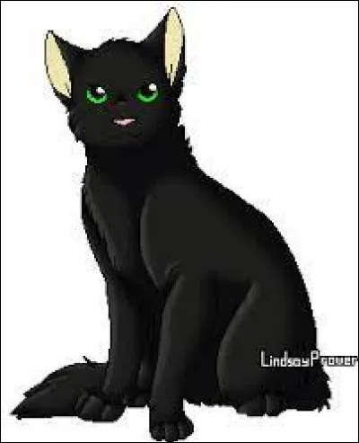 Quel est le nom de guerrier dÉtoile Noire ?