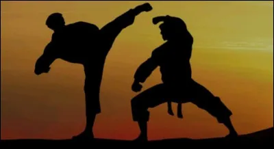 Comment réagis-tu lors d'un combat ?