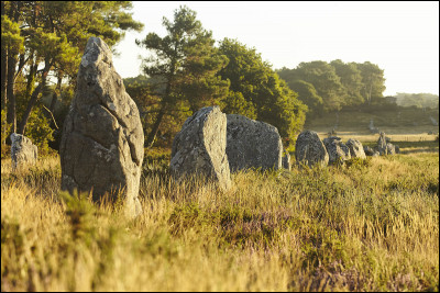 Dans quelle ville bretonne peut-on voir ces alignements de pierres ?