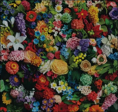 Comment réagirais-tu si on t'offrait des fleurs ?