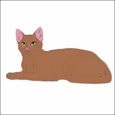 Quelle est la dernière chose quelle ait vue avant de mourir ?