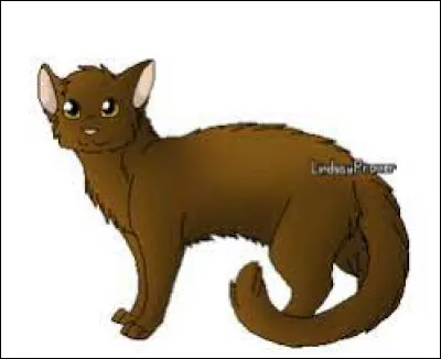 Quel est son nom anglais ?