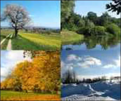 Quelle est ta saison préférée ?