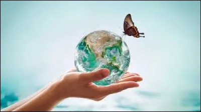 Qu'aimerais-tu être parmi ces propositions ?