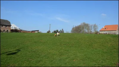 Dans la campagne on en voit des prés ?