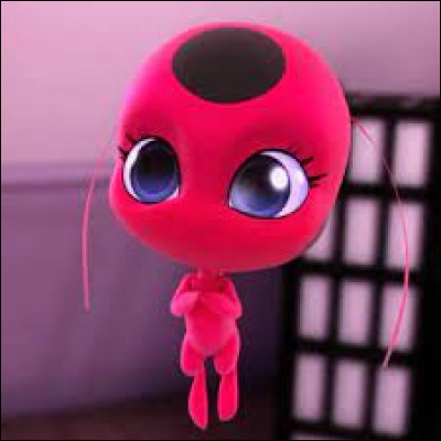 Comment s'appelle le Kwami de Ladybug ?