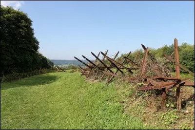 Qui pouvait attraper le cul-de-verre ?