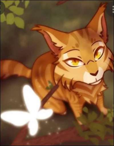 Et je te pose encore la même question mais cette fois-ci avec les femelles.