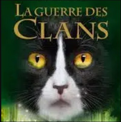 Combien de grades notre héroïne a-t-elle obtenus ?