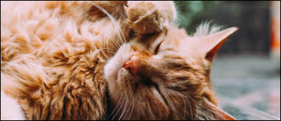 À quel âge est-elle, au grand malheur de tout son clan, décédée ?