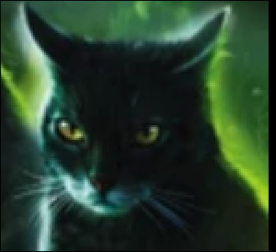 Quel est son nom de chatonne, lorsqu'elle n'était encore que blottie dans la pouponnière ?