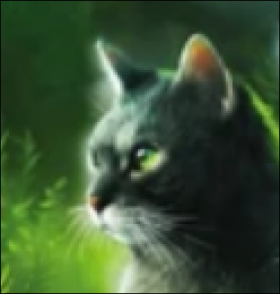 A-t-elle toujours aimé celui qu'elle porte actuellement dans son cur ?