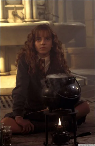 Dans quel film de la saga "Harry Potter", Hermione est-elle victime de pétrification ?