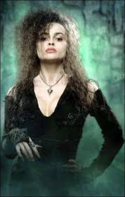 Quel magasin préfères-tu dans le chemin de traverse ?