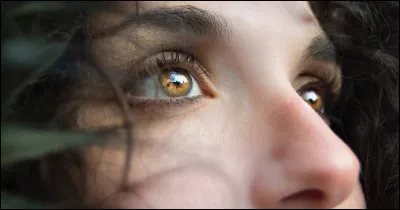 D'après sa chanson sortie en 1981, qu'aime regarder Patrick Coutin  ?