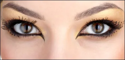 Qui chante "Elle a les yeux revolver / Elle a le regard qui tue / Elle a tiré la première / m'a touché, c'est foutu..." ?