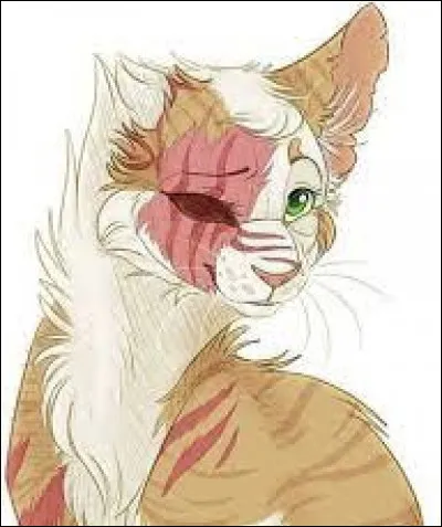 Coeur Blanc a eu deux noms dapprenti :