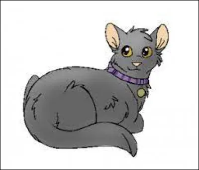 Quince est morte noyée :