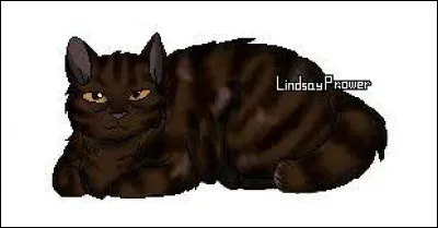 Le nom de guerrier de Demi-Queue est Queue de Moineau :