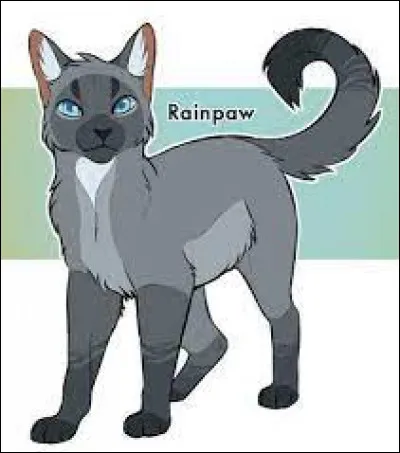 En anglais Perle de Pluie se dit Rainwhisker :