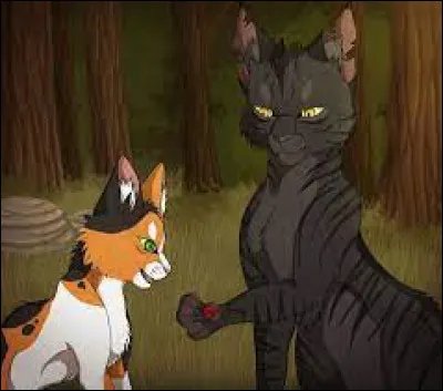 Éclair Noir a empoisonné Petite bruyère :