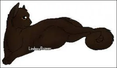 Le mentor de Patte de Châtaigne est Poil de Fougère :