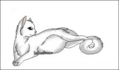 Pelage de Givre est morte tuée par un chien :