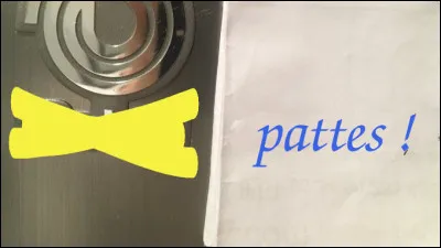 Rien à voir avec le "Lac des Cygnes" !
[Quelle est cette marque ?]