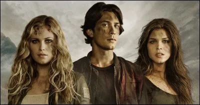 Dans la série "The 100", Clarke est la sur de Bellamy.