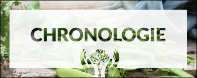 Dans le mot "chronologie", le radical grec "chrono" signifie "temps".