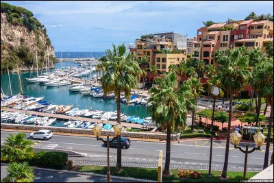 Lequel n'est pas un quartier de Monaco ?