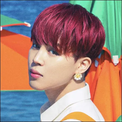 Qu'aurait pu utiliser Jimin à ses débuts comme nom de scène ?